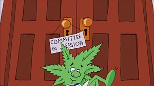 Scott Vetoes Marijuana Legalization in Vermont