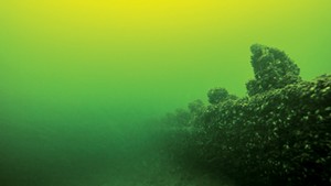 An underwater shipwreck in Lake Champlain
