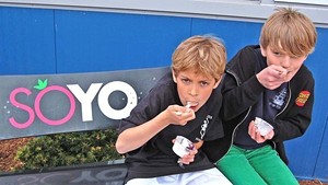 SoYo Frozen Yogurt