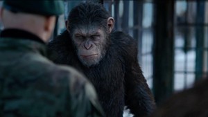 Movie Review: 'War for the Planet of the Apes' Remains Sneakily Subversive Franchise Fare