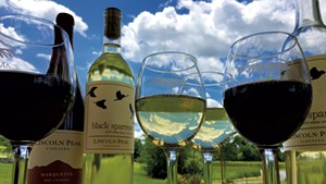 Lincoln Peak Vineyard Cultivates Vermont's Wine Industry