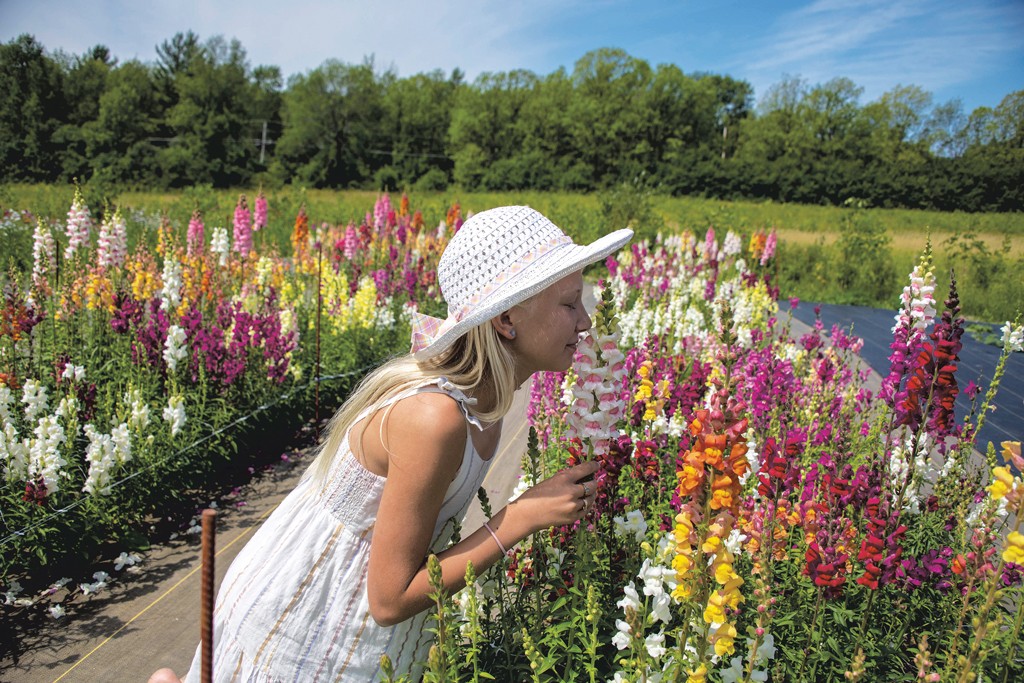 Glory Flower Farm In Charlotte Offers