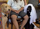A Dog Wedding Brings Joy to a Burlington Assisted Living Home