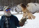 Stuck in Vermont: Wild Ambassador Raptors Educate Visitors at Shelburne Farms