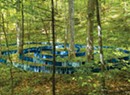 Art Review: "Together: Nature Unites Us," Elizabeth Billings, Nature Conservancy Natural Areas
