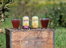 Local Shrubs, Sodas and Switchels for End-of-Summer Sipping