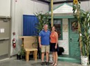 Jericho Couple's Record-Tall Sunflower Wins Blue Ribbon at the Fair