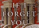 Book Review: If I Forget You, Thomas Christopher Greene