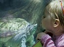 Families Visit These Vermont Science and Nature Centers for Learning <i>and</i> Fun