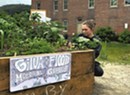 A Free Montpelier Garden Grows Produce — and Community