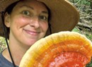 Meg Madden Champions the Hidden Roles and Art of Mushrooms