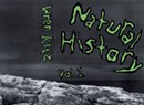 Wren Kitz, 'Natural History vol. 1'
