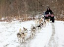 Dogsled Through Vermont's Winter Wilderness With October Siberians