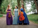 Champlain Trio and Vermont Philharmonic Perform a Rare Triple Concerto by Beethoven