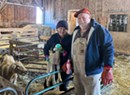 Stuck in Vermont: Final Lambing Season for Chet and Kate Parsons at the Parsons’ Farm in Richford