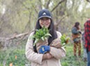 Spring Foraging in Burlington’s Intervale Beyond Ramps and Fiddleheads