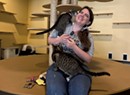 Q&A: Alexis Dexter Rescued 57 Shelter Cats During the July Flood
