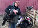 Stuck in Vermont: Neglected Animals Find a Home With Era MacDonald at Merrymac Farm Sanctuary in Charlotte
