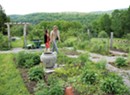 Lincoln-Based Studio Roji Creates Gardens as Refuge