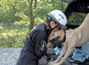 Search-and-Rescue Dogs Earn Their Play