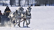 Sleigh Day: Snowfall Brings Sleigh Rides at Shelburne Farms
