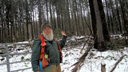 Legislators Seek to Secure the Future of Vermont's Valuable Forests