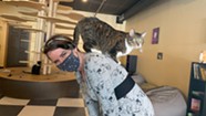 Stuck in Vermont: Kitty Korner Café in Barre Finds Furever Homes for Felines