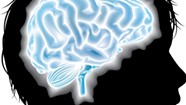 UVM to Participate in Landmark Adolescent Brain Study