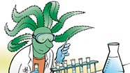 Vermont Wants to Run Its Own Cannabis Lab to Monitor the Sprouting Market
