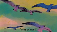 Patrick J Crowley, 'Waterbirds'