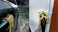 A Guilford Mom Deters Car Break-Ins With Cooked Noodles