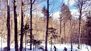 Making Tracks: Ten Spots for Family Cross-Country Skiing and Snowshoeing