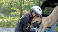 Search-and-Rescue Dogs Earn Their Play