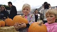Eat This Week, September 13 to 19, 2017: 39th Annual Harvest Festival