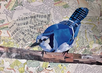 Teen Tweets: Burlington Middle Schoolers Make Colorful Avian Collages