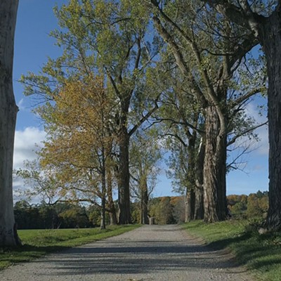 Shelburne Farms' Poplar Drive