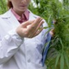 Massachusetts to Hire a Cannabis Inspector