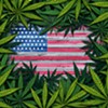The Cannabis Catch-Up: Weed Wins the Elections