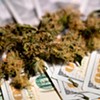 The Cannabis Catch-Up: Money on My Mind