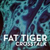 Album Review: Fat Tiger, 'Crosstalk'