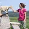 Vermont Open Farm Week [SIV408]