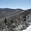 Carbon Cents: Vermont Considers How to Make Cash by Letting Forests Grow