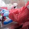 Vermont Announces 35 More Coronavirus Cases, One New Death