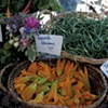 Produce from LePage Farm at a summer Capital City Farmers Market
