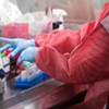 Vermont Officials Urge Vigilance As Coronavirus Case Counts Climb