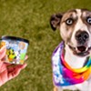 Ben & Jerry's Launches Frozen Desserts for Dogs
