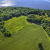 Children in the Corn: An Outing to Fort Ticonderoga's Heroic Maze