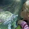 Families Visit These Vermont Science and Nature Centers for Learning <i>and</i> Fun