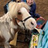 Stuck in Vermont: Painting with Pepperoni, a Miniature Horse; Judi Whipple; and Jane Bradley at Breckenridge Farm in Plainfield