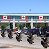 The Parmelee Post: Droves of Vermont Turkeys Immigrate to Canada